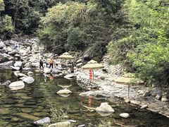 -石台牯牛降景区