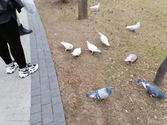 -迎泽公园