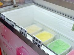-成裕雪糕店(士多店)
