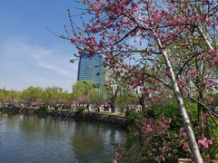-无锡蠡湖国家湿地公园-蠡园