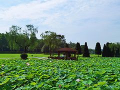 -宜兴龙背山森林公园