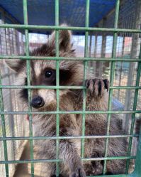 -萌宠亲子动物乐园(槐房万达店)