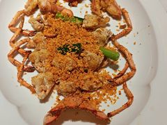 -连鹭海鲜·海肠捞饭·海胆饭(星海店)