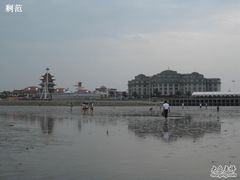 -碧海金沙