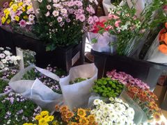 -沪花拾者(好再来花卉鲜花店)