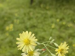 -木塔寺遗址生态公园