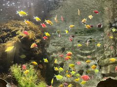 -长鹿旅游休博园