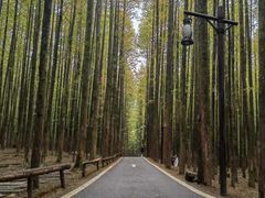 -山王坪喀斯特国家生态公园