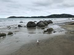 -摩拉基大圆石