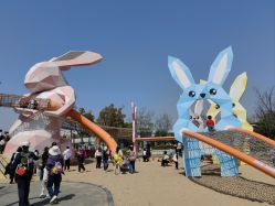 -季高兔窝窝亲子园(上海薰衣草公园店)