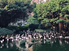-九龙公园