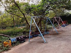 -羚羊峡古栈道森林公园