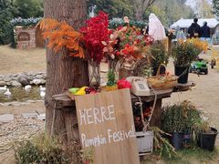 -HERRE·FARM 赫尔露营农场·团建聚会包场