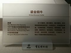 -宁夏博物馆