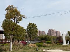 -菊园百果园