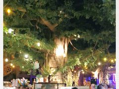 -杭州开元森泊度假乐园