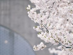 -龙美术馆(西岸馆)