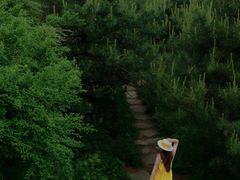 -王莽岭风景区