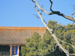 -北京国子监胡同