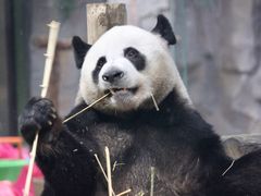 -栾川竹海野生动物园