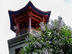 -西宁市东关清真大寺