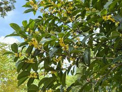 -杭州城北体育公园