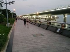 -演武大桥观景平台