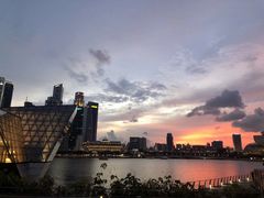 -新加坡丽思卡尔顿美年酒店