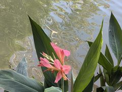 -广州白江湖森林公园