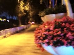-怡得观滇餐厅·地道昆明菜·1996(海埂大坝店)