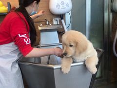 -PETKIT小佩宠物(古北店)