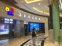 -AMG海上明珠影城(上海环球港RealDCinema店)