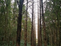 -同里国家湿地公园