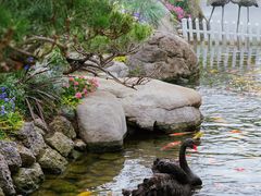 -罗红摄影艺术馆