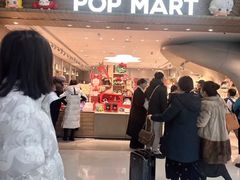 -泡泡玛特POPMART(合生汇店)