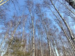 -长春市南湖公园