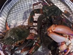 -海味当家·蒸锅海鲜(星海公园店)