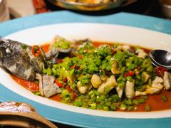 青椒龙趸鱼-尚一汤·粤菜海鲜(环球港店)