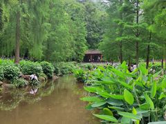 -重庆彩云湖湿地公园