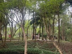 -白沙门生态公园