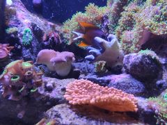 -成都浩海立方海洋公园