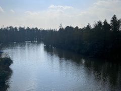 -上海长兴岛郊野公园