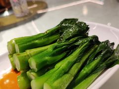-陶缘一号·四季缘·老字号顺德菜·户外婚礼家宴(西滘店)