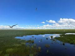 -花湖生态旅游区