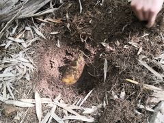 -众神白水涧景区