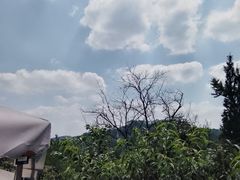 -桃源山庄·水蜜桃采摘·柴火鸡·烧烤团建(龙泉山店)