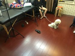 -明星刺青·洗纹身