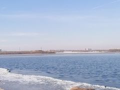 -丁香湖公园