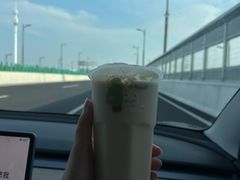 -猫的魔法密林(衣裳街店)
