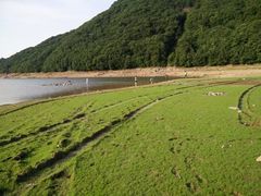 -北仑森林植物园